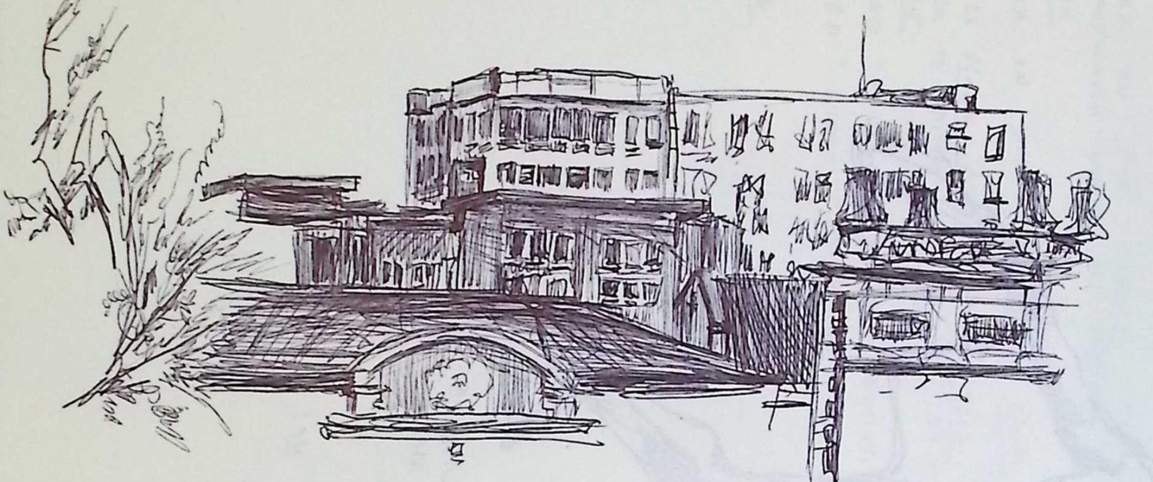 A traditional pen drawing of several building tops with a tree covering part of one on the image's left side.